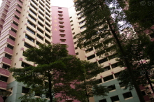 bukit-batok-street-24 photo thumbnail #7